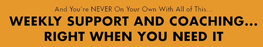 Weekly support and coaching availability message.