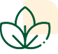 transformation-program