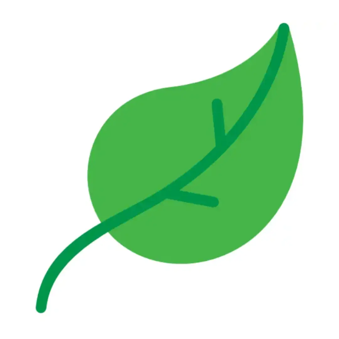 Green leaf illustration with simple design.